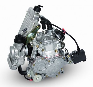Rotax 125 Max Engine (click picture to enlarge) Rotax 125 Max Engine