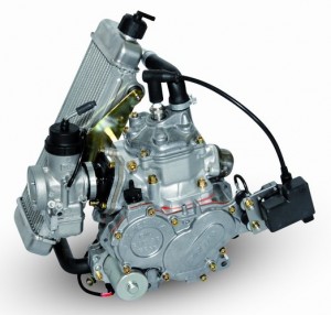 Rotax Junior Max 125 Engine (click picture to enlarge) Rotax Junior Max 125 Engine