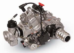 Rotax DD2 Max 125 Engine